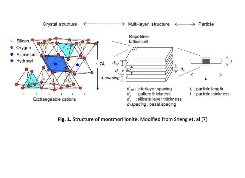 					View Vol. 11 No. 1: December (2025)
				