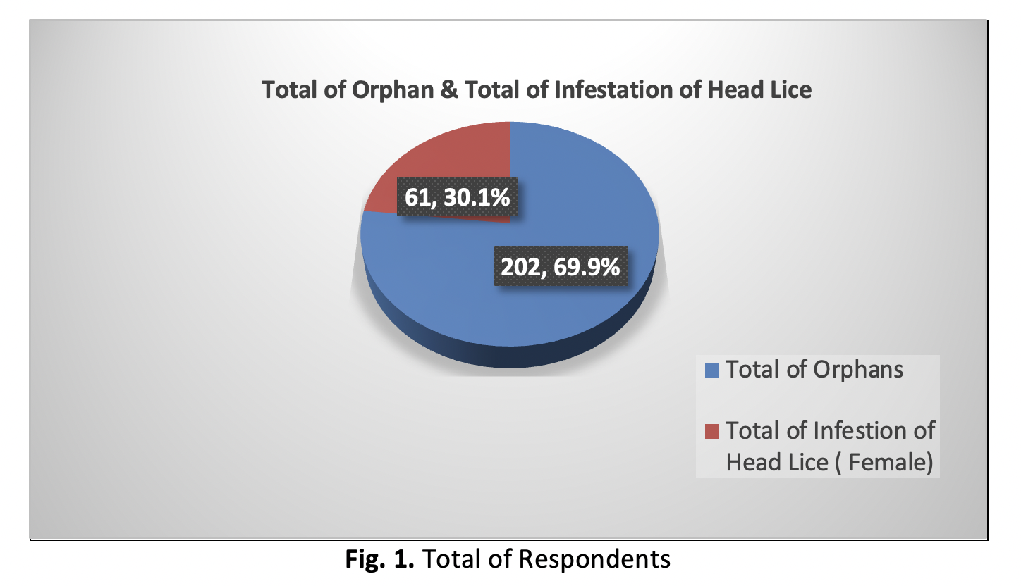					View Vol. 6 No. 1: December (2025)
				